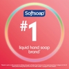 XÀ PHÒNG RỬA TAY DẠNG LỎNG HƯƠNG MÂM XÔI VÀ QUÝT - SOFTSOAP ENERGIZED LIQUID HAND SOAP, 11.25 FL OZ PUMP BOTTLE