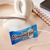KẸO SÔ CÔ LA DỪA VÀ HẠNH NHÂN - ALMOND JOY MINIATURES COCONUT AND ALMOND CHOCOLATE CANDY, 10.2 OZ