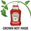 SỐT CÀ CHUA - HEINZ TOMATO KETCHUP, 2 CHAI