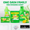 VIÊN GIẶT QUẦN ÁO - GAIN FLINGS! LAUNDRY DETERGENT PACS - ORIGINAL, 16 VIÊN