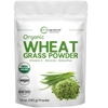 BỘT CỎ LÚA MÌ HỮU CƠ MICRO INGREDIENTS ORGANIC WHEAT GRASS POWDER