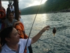 TOUR CÂU CÁ BÃI ĐÈN - SƠN TRÀ
