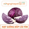 HẠT GIỐNG BẮP CẢI TÍM