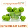 HẠT GIỐNG BẮP CẢI MINI