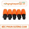 BÉC PHUN SƯƠNG CAM