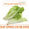 HẠT GIỐNG CẢI BẸ DÚN