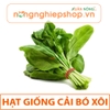 HẠT GIỐNG CẢI BÓ XÔI
