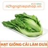 HẠT GIỐNG CẢI LÀM DƯA - gói 10g