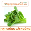 HẠT GIỐNG CẢI NGỒNG (CẢI NGỌT ĂN BÔNG)