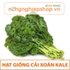 HẠT GIỐNG CẢI XOĂN KALE - gói 5g