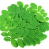 HẠT GIỐNG CHÙM NGÂY