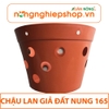 CHẬU LAN GIẢ ĐẤT NUNG 165