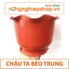 CHẬU TAI BÈO TRUNG