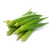 HẠT GIỐNG ĐẬU BẮP