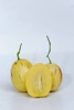 HẠT GIỐNG DƯA PEPINO - gói 10 hạt
