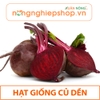 HẠT GIỐNG CỦ DỀN - gói 5g