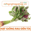 HẠT GIỐNG RAU DỀN TÍA