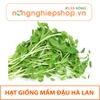 HẠT GIỐNG MẦM ĐẬU HÀ LAN