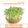 HẠT GIỐNG RAU MẦM HOA HƯỚNG DƯƠNG