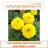 HẠT GIỐNG VẠN THỌ PHÁP LÙN VÀNG CHANH