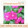 HẠT GIỐNG HOA DỪA CẠN