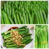 HẠT GIỐNG MĂNG TÂY XANH - gói 0,2g