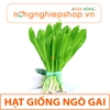 HẠT GIỐNG NGÒ GAI - gói 10g