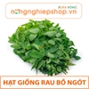 HẠT GIỐNG RAU BỒ NGÓT