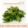 HẠT GIỐNG RAU ĐAY XANH