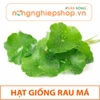 HẠT GIỐNG RAU MÁ - gói 1g