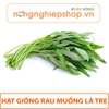 HẠT GIỐNG RAU MUỐNG LÁ TRE