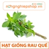 HẠT GIỐNG RAU QUẾ