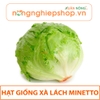 HẠT GIỐNG XÀ LÁCH MINETTO