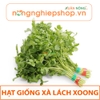 HẠT GIỐNG XÀ LÁCH XOONG