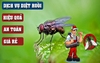 DỊCH VỤ PHUN THUỐC DIỆT RUỒI