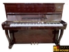PIANO CƠ GOLD STAR 120G