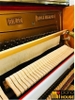 PIANO CƠ ROZENKRANTZ RK20