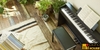 Casio PX-870