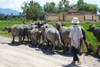 NHA TRANG COUNTRYSIDE RIVER EXCURSION