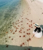 THE GREAT HONEYMOON VACATION 11 DAYS