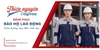 Tổng Hợp Các Mẫu Quần Áo Bảo Hộ Lao Động Theo Từng Ngành