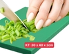 Thớt Nhựa Công Nghiệp Chữ Nhật [ Kích Thước: 30cm x 40cm x 2cm ]