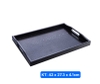 Khay Chữ Nhật _ Khay Phục Vụ Nhựa ABS Có Quai [ Loại Dày ]