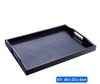 Khay Chữ Nhật _ Khay Phục Vụ Nhựa ABS Có Quai [ Loại Dày ]
