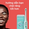 Bàn chải điện Colgate Hum (Starter Kit)