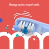Bàn chải pin Colgate Hum (Bluetooth Connect)