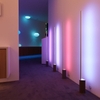 Đèn cây Philips Singed floor light