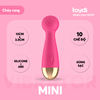 Chày Mini