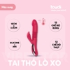 mô hình Tai thỏ lò xo