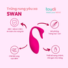 Thiên Nga Swan